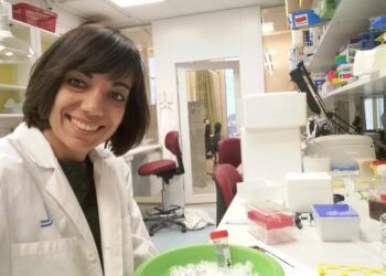 ‘Valencians al món’ visita demà Viena, capital de la música clàssica