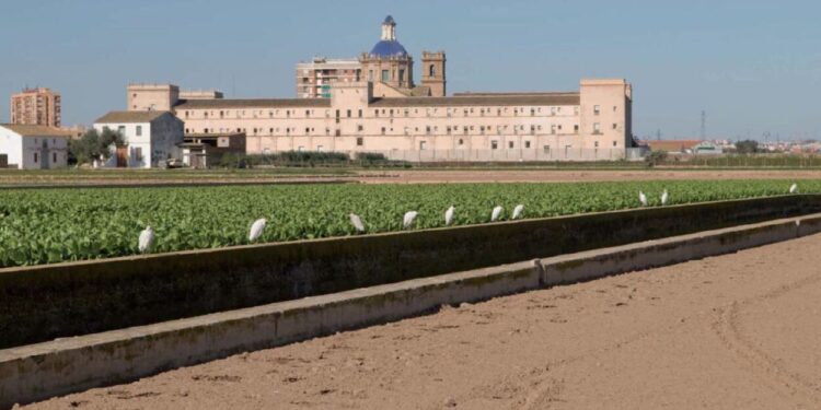 Comencen les obres dels itineraris paisatgístics a l’entorn de Sant Miquel dels Reis