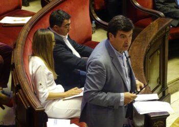 Giner critica que Ribó rebutge presentar projectes per als fons europeus LIFE 2021