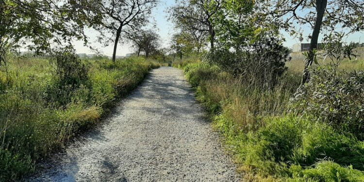 València guanya un segon parc natural amb la incorporació del llit natural del Túria com a àrea protegida