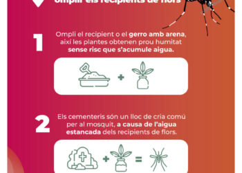 València impulsa una campanya en Tots Sants per evitar la proliferació del mosquit tigre als cementeris