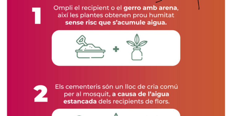 València impulsa una campanya en Tots Sants per evitar la proliferació del mosquit tigre als cementeris