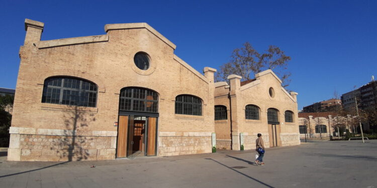 La Universitat Popular rep el reconeixement de Creu Roja València per la seua implicació en projectes interculturals