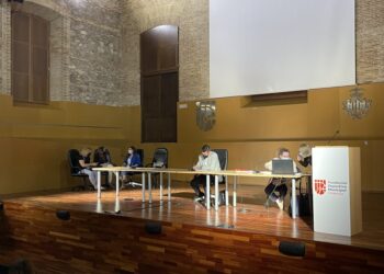 #LaTelefonada22: el Ple extraordinari serà virtual