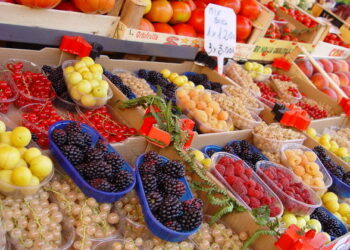 València assumix la presidència de la Xarxa de Ciutats per l’Agroecologia