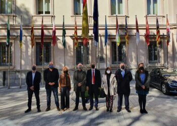 El Senat reconeix el Tribunal del Comuner de l’Horta d’Aldaia