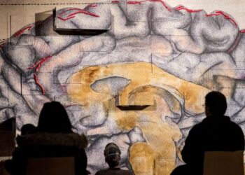 Dues instal·lacions de José Antonio Portillo coproduïdes per l’IVC per al Nadal