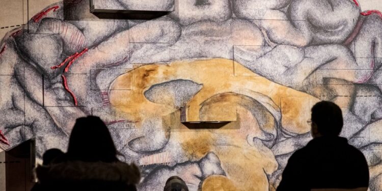 Dues instal·lacions de José Antonio Portillo coproduïdes per l’IVC per al Nadal