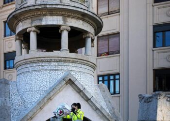 València consolida la reducció de coloms amb pinsos esterilitzants i mètodes ètics de control de l’avifauna