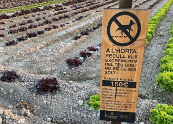 357 cartells instaran a les persones que cuiden gossos a no passejar-los solts per l’horta i a recollir-ne els excrements