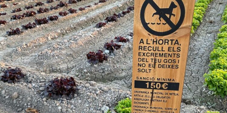 357 cartells instaran a les persones que cuiden gossos a no passejar-los solts per l’horta i a recollir-ne els excrements