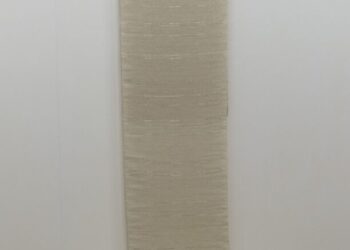 Les Drassanes acolliran les 20 obres més destacades del Premi Senyera 2021